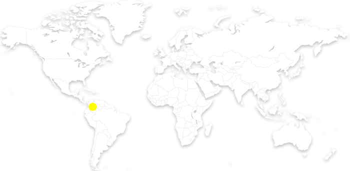 carte a